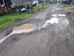 Akibat Sering di Lewati Truk Angkutan  TBS Milik PT Agro Jalan Desa Tebing Bulang Rusak dan Berlubang  