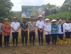 Pemkab Pali Ambil Langka Langka Strategis Dengan Beli Beras Langsung Ke Petani 