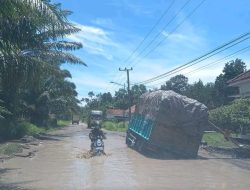 Jalan Lintas Provinsi Sekayu-Pali, Rusak Berat  Mirip Sungai