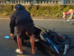 Sekjen DPP Lembaga FPK Soroti Jalan Anyer-Cinangka berlobang dan Minim Penerangan.