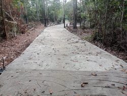 Pemdes Muara Dua Realisasikan ADD 2025 untuk Bangun Jalan Usaha Tani Rabat Beton