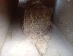 Drainase Miliaran Rupiah Sarat Dengan Kejanggalan