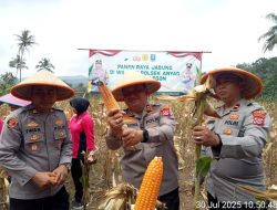 Panen Raya Jagung Di Wilayah Polsek Anyer Polres Cilegon