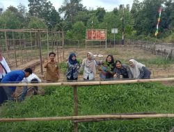 SKB PALI  Kembangkan Karekteristik Siswa Melalui Kegiatan P5