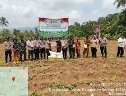 Polres Cilegon-Polsek Anyer Dalam Rangka Dukung Program Ketahanan Pangan Nasional, Tanam Jagung Seluas 3 Hektar