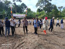 Program Pusat, Desa Raja Laksanakan Tanam Bibit Jagung Hibrida Syngenta NK306 Garuda