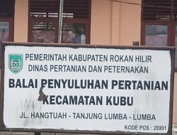 Luas Lahan Oplah Padi di Teluk Merbau Dipertanyakan Warga, Ini Penjelasan Penyuluh Pertanian