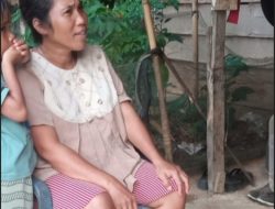 Wakil Bupati Inhu Minta Dugaan Masalah SDN 024 Hulu Peladangan Diserahkan ke Proses Hukum