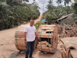 Warga Dusun 7 Keluhkan Pungutan Ganti Rugi Tanaman dalam Pembangunan Tiang Listrik