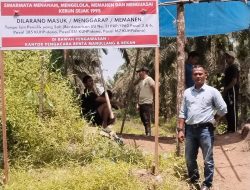 Klaim Sepihak dan Dugaan Pencurian TBS, Kebun Sawit Simarmata Dipasang Spanduk Larangan